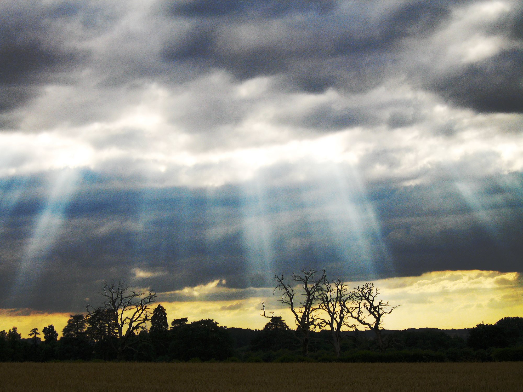 Raios de sol atravessando as nuvens sobre as árvores